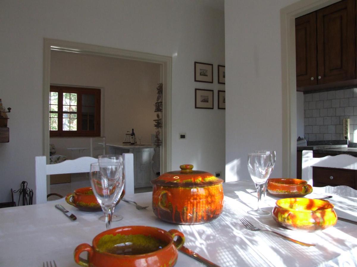 Vacanze Toscane In The Country - Villa Agrifogli Sassetta Exteriör bild