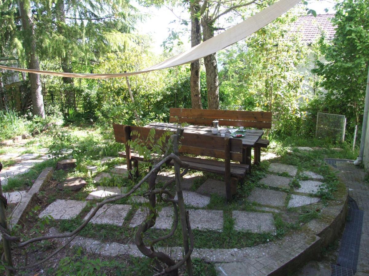 Vacanze Toscane In The Country - Villa Agrifogli Sassetta Exteriör bild